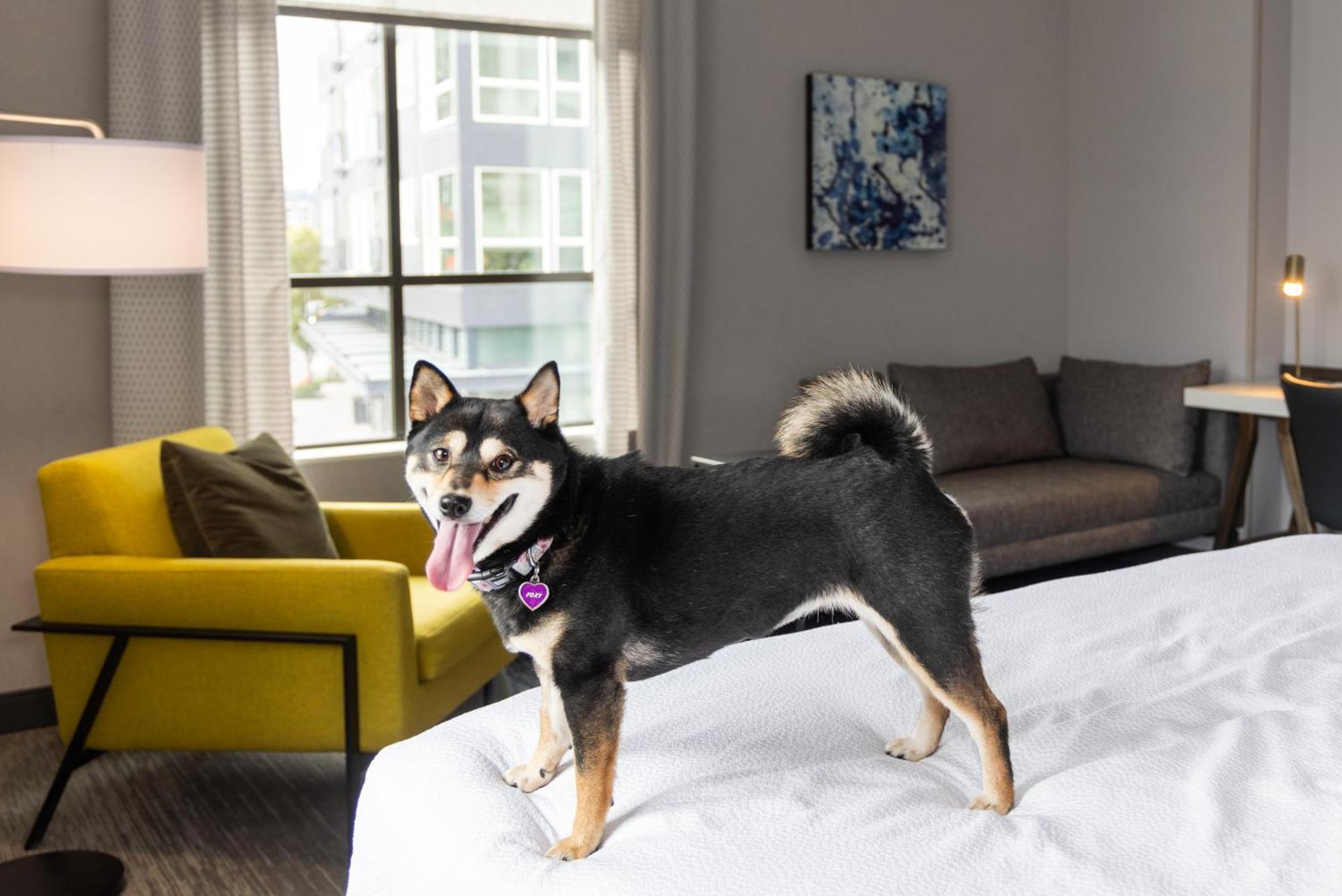 Hilton Garden Inn Redmond Wa Eksteriør bilde